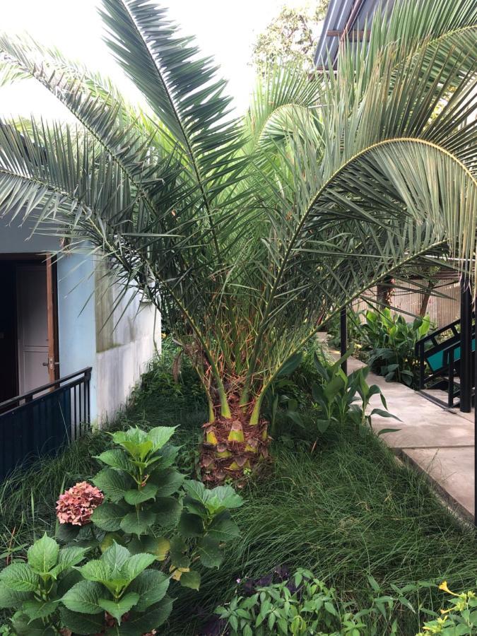 Green House Alakhadze Exterior photo