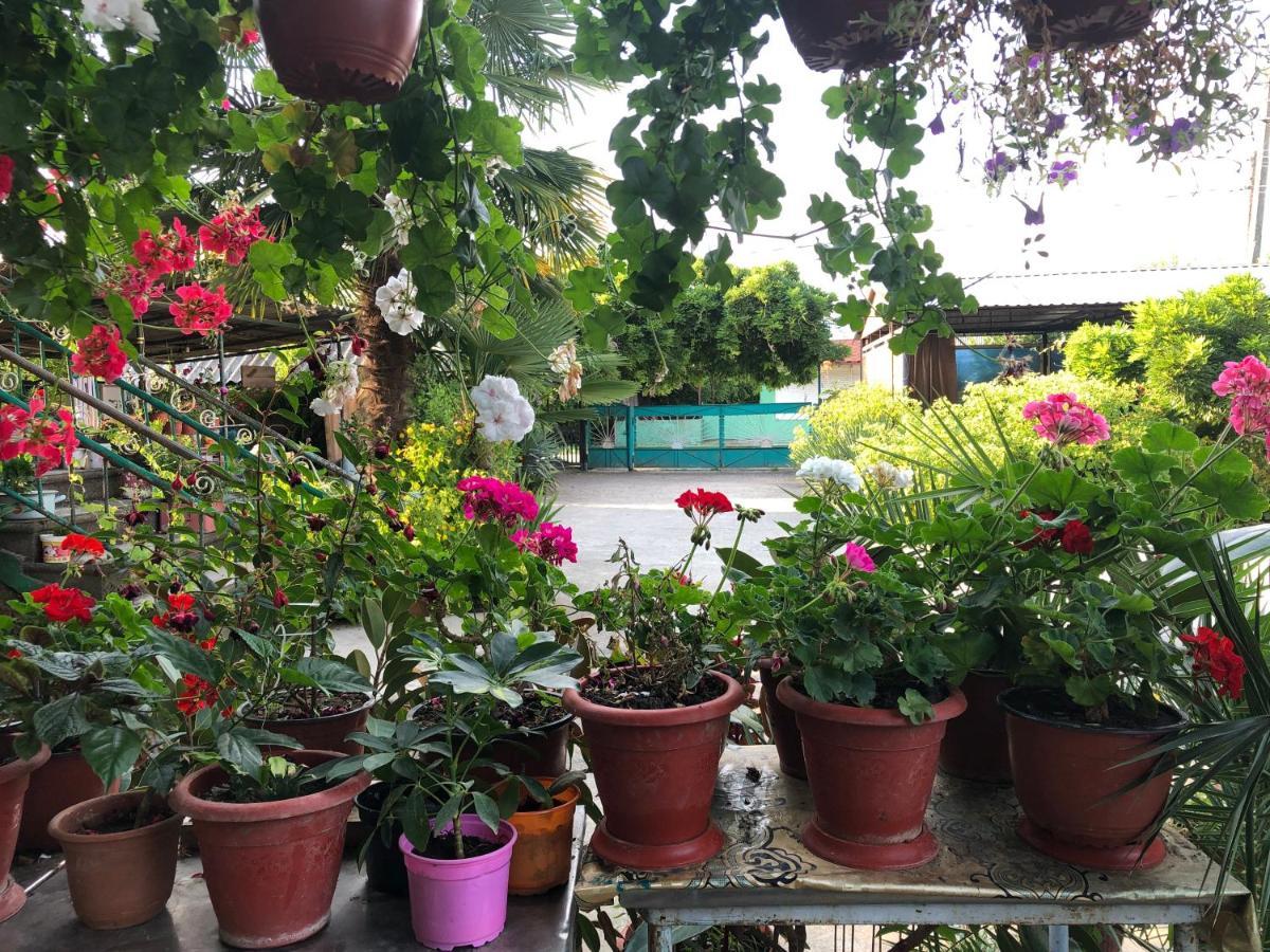 Green House Alakhadze Exterior photo